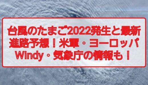 台風のたまご2022発生と最新進路予想！米軍・ヨーロッパWindy・気象庁の情報も！