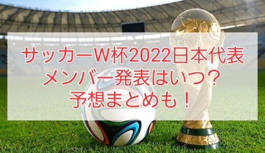 サッカーワールドカップ2022日本代表メンバー発表はいつ？予想まとめも！